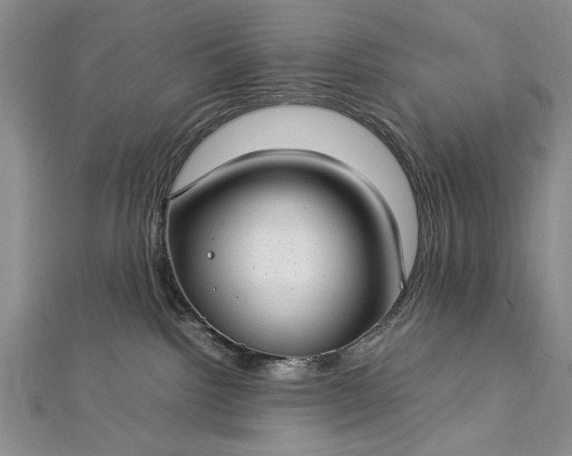 X0000112790092200909041421