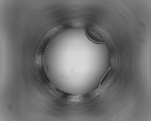 X0000112790093200909041421