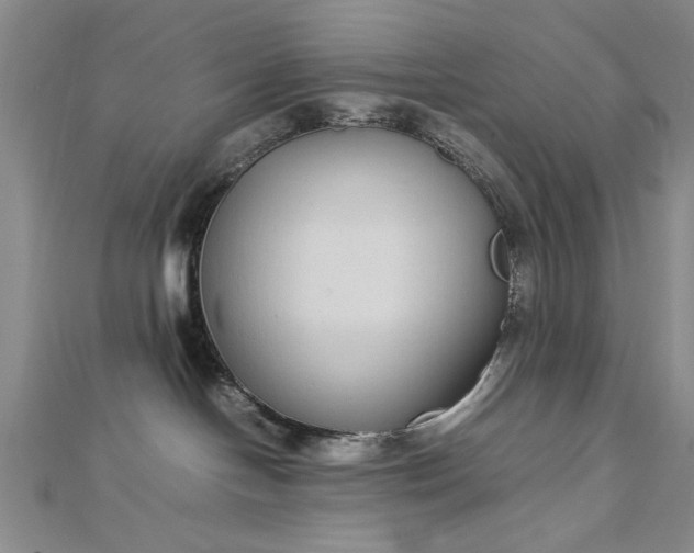 X0000112790094200909041421