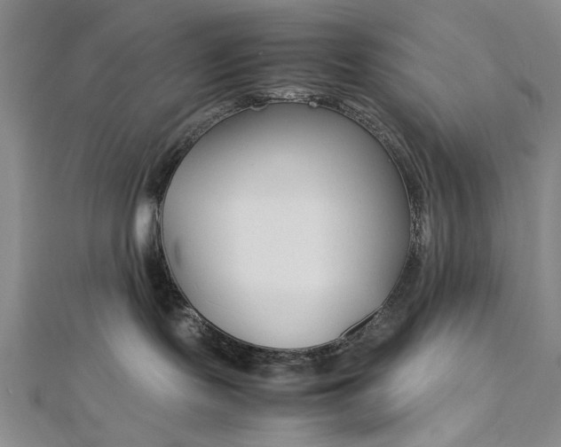 X0000112790095200909041421