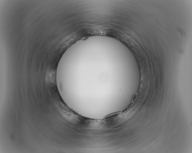 X0000112790096200909041421