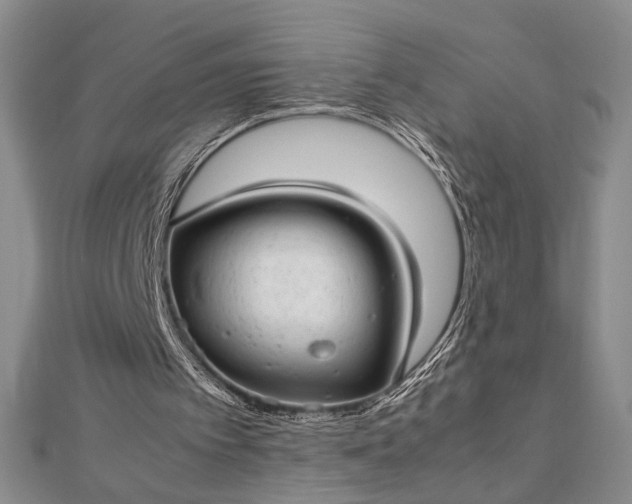 X0000112790097200909041420