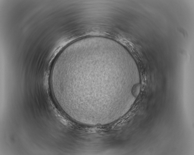 X0000112790098200909041420