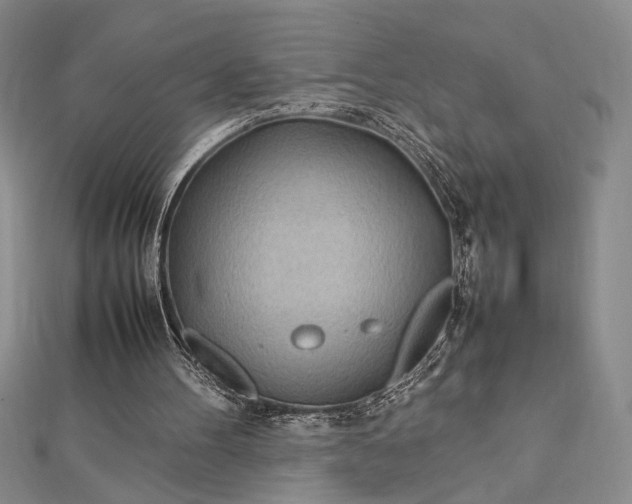 X0000112790100200909041420