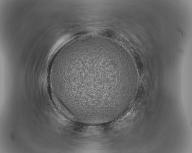 X0000112790101200909041420