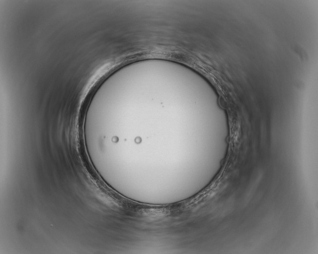 X0000112790102200909041420