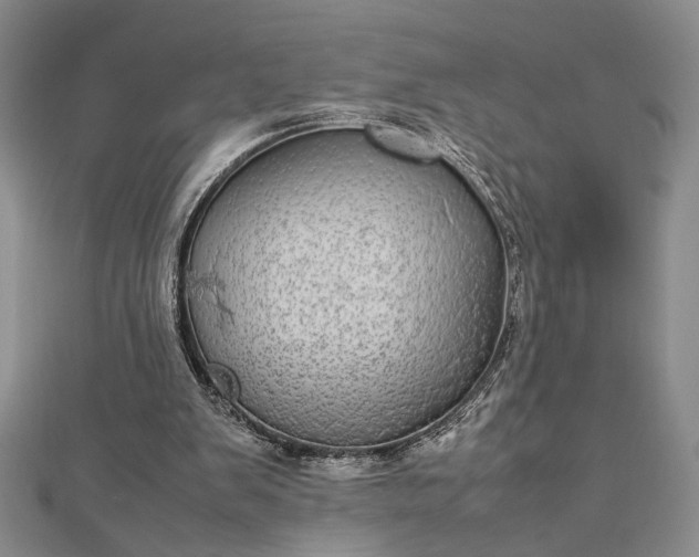 X0000112790103200909041420