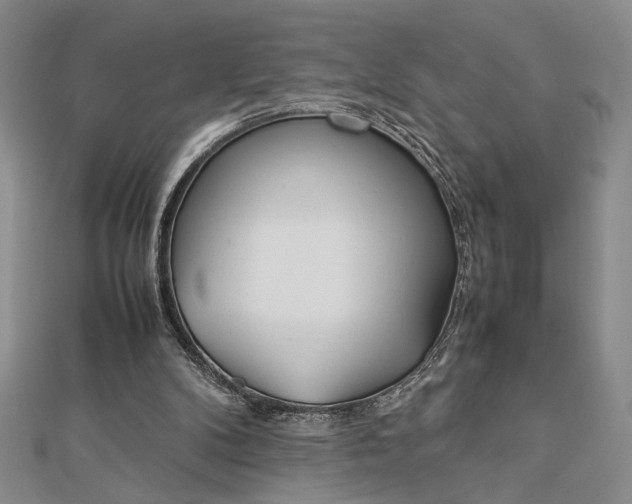 X0000112790104200909041420