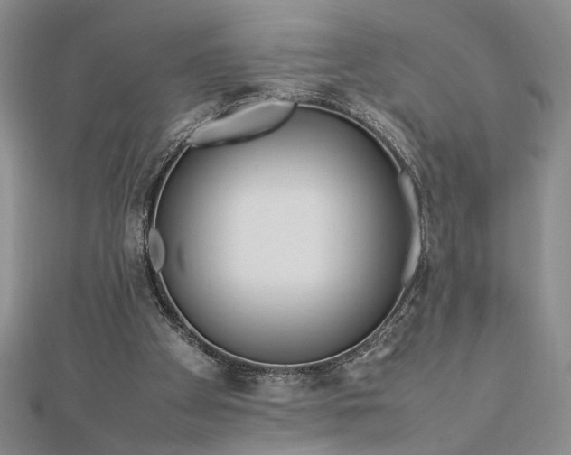 X0000112790105200909041420