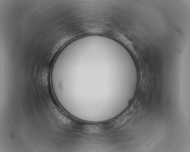 X0000112790106200909041420