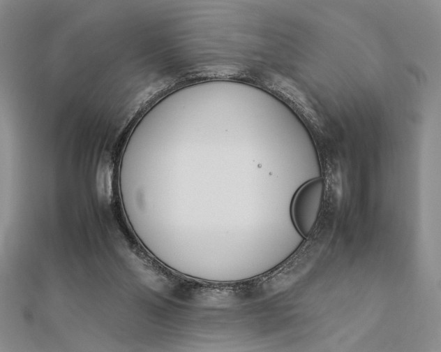 X0000112790110200909041420