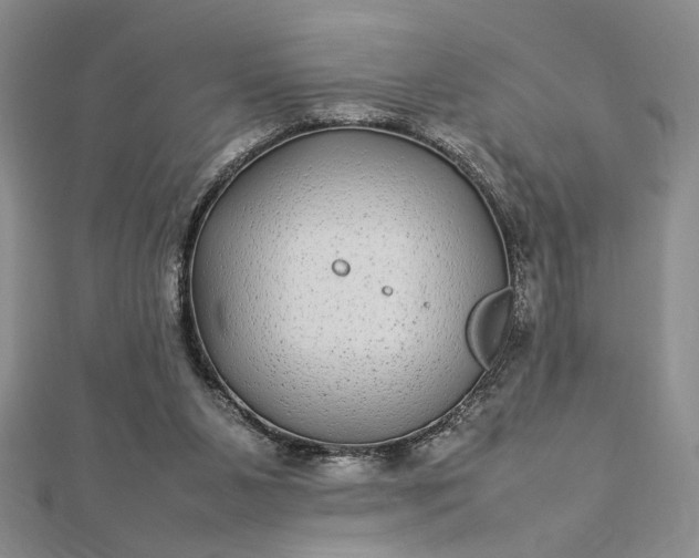 X0000112790111200909041420