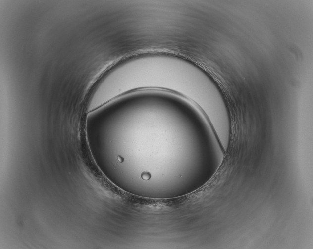 X0000112790112200909041420