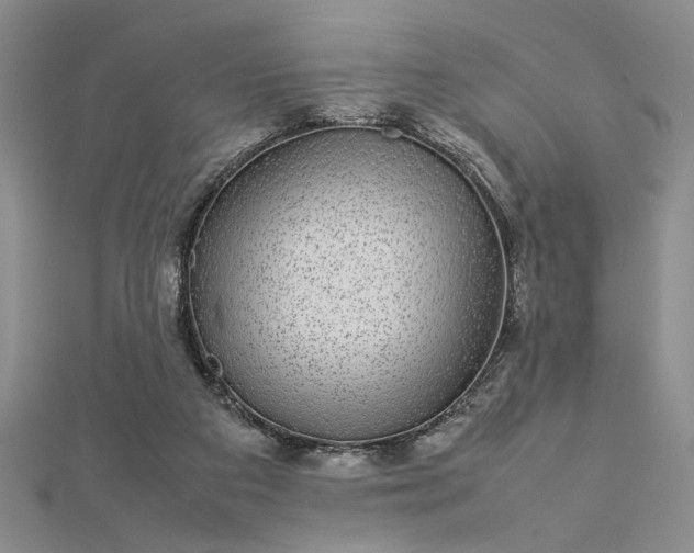 X0000112790113200909041420