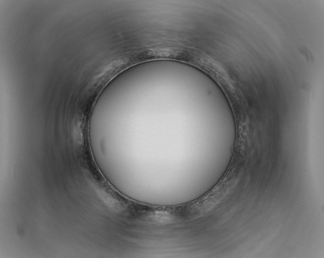 X0000112790114200909041420