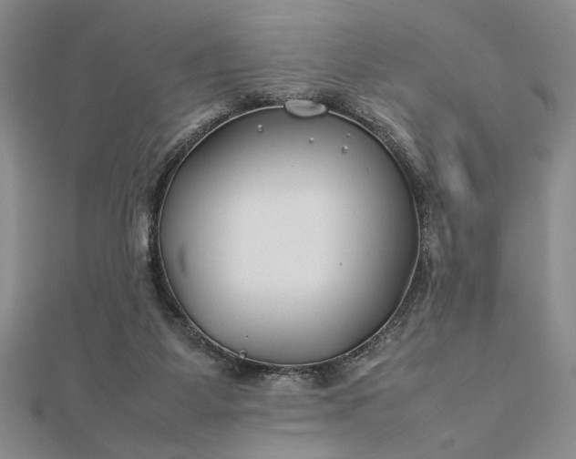 X0000112790115200909041420