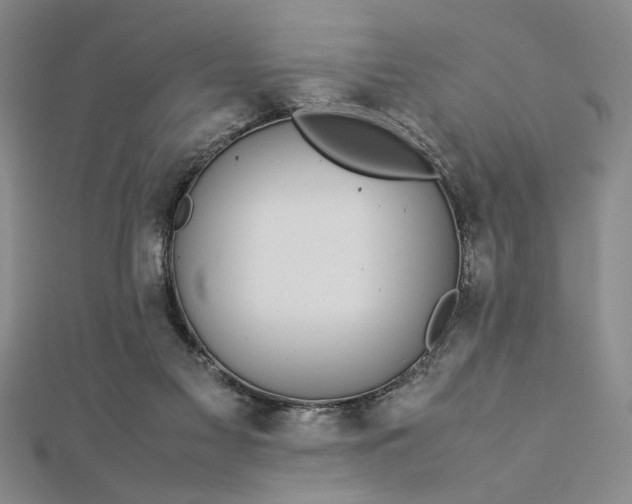 X0000112790117200909041420