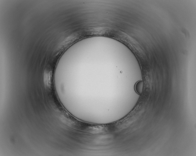 X0000112790118200909041420