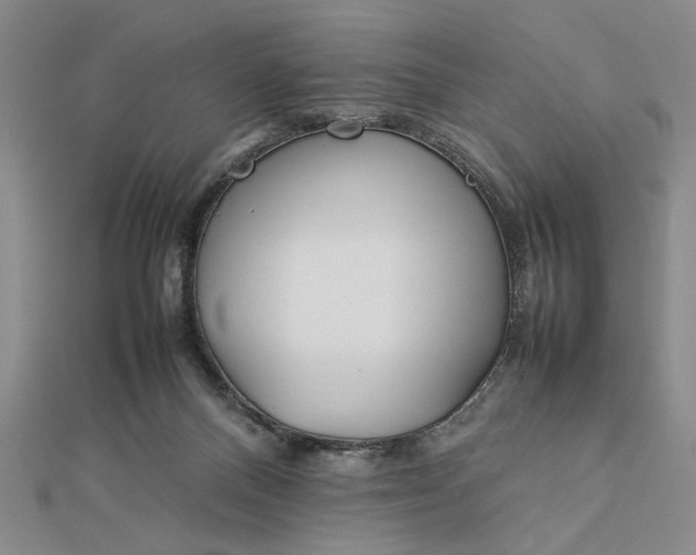 X0000112790120200909041420