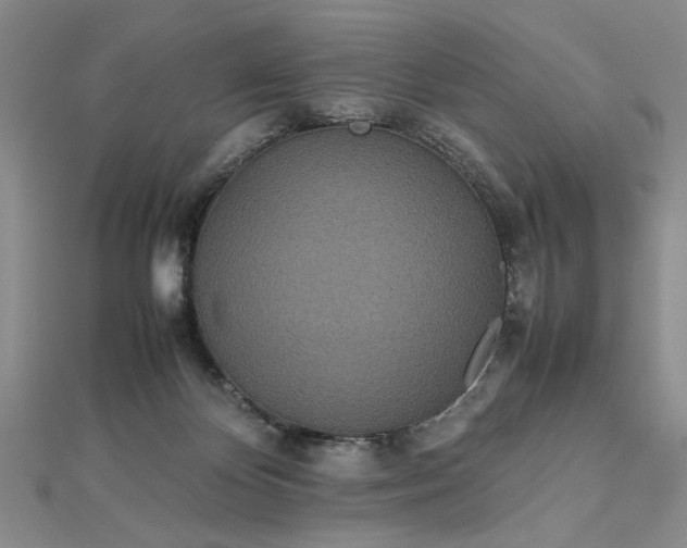 X0000112790124200909041420