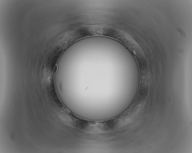 X0000112790125200909041420