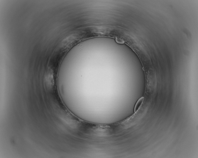 X0000112790128200909041420