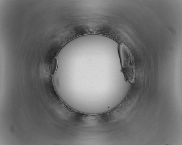 X0000112790129200909041420