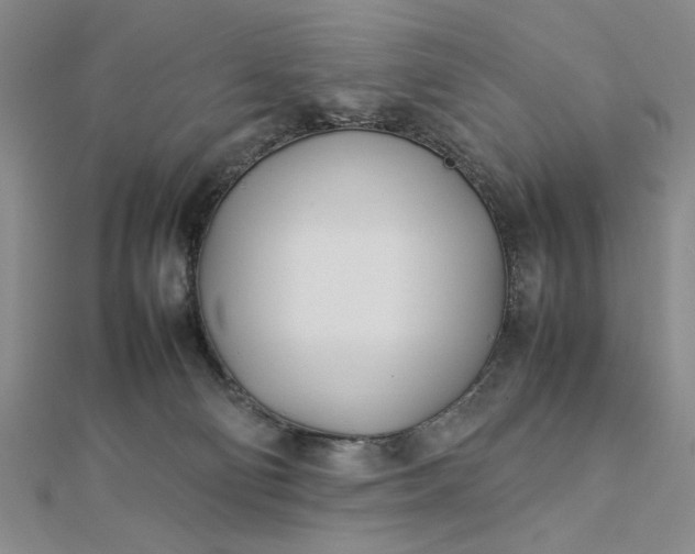 X0000112790130200909041420