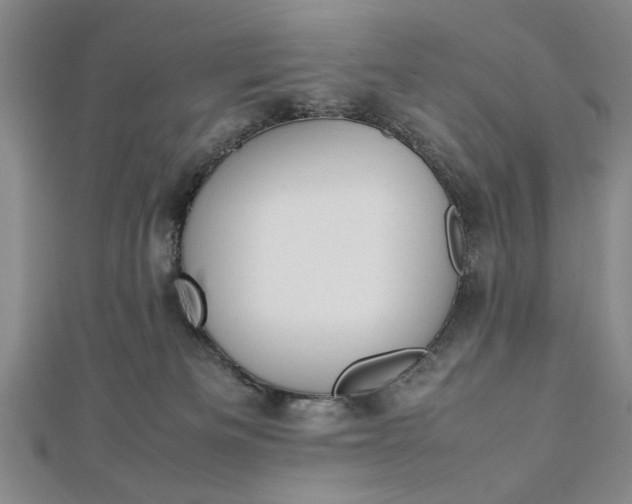 X0000112790133200909041420