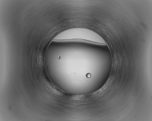 X0000112790136200909041420