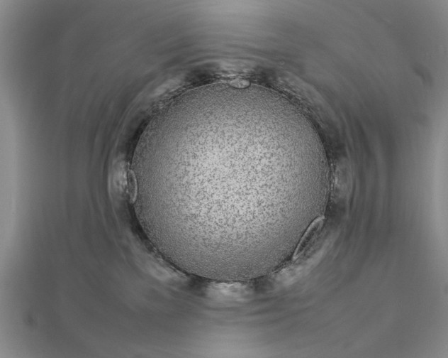 X0000112790137200909041420