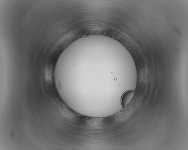 X0000112790138200909041420