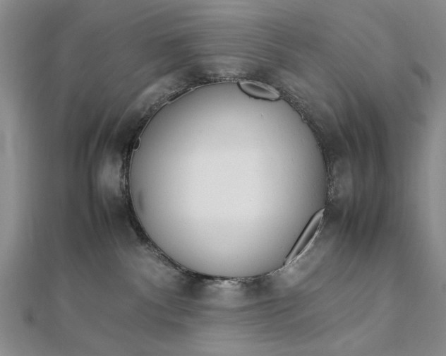 X0000112790140200909041420