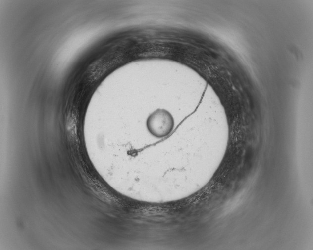 X0000112790146200909041419