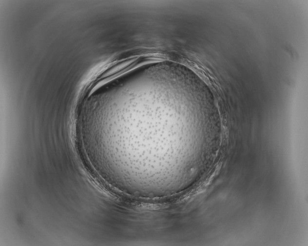 X0000112790149200909041419