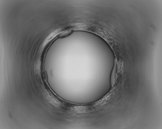 X0000112790150200909041419