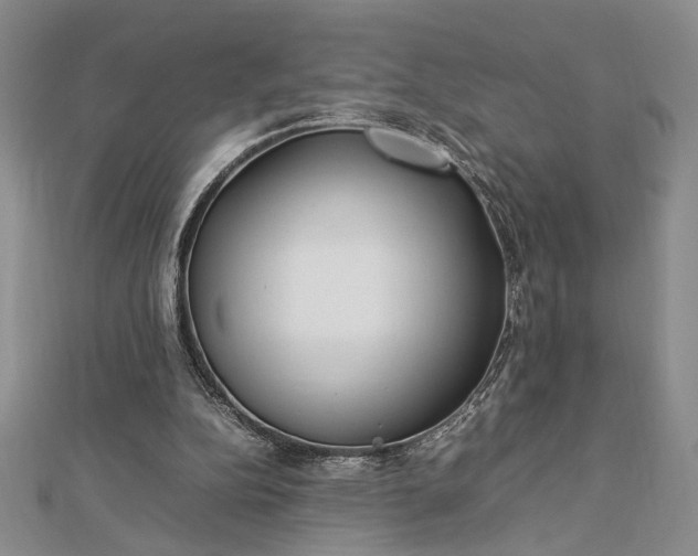 X0000112790152200909041419