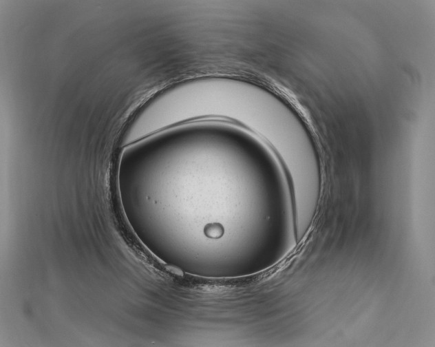 X0000112790154200909041419