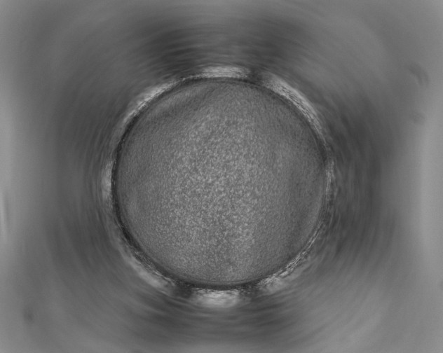 X0000112790155200909041419