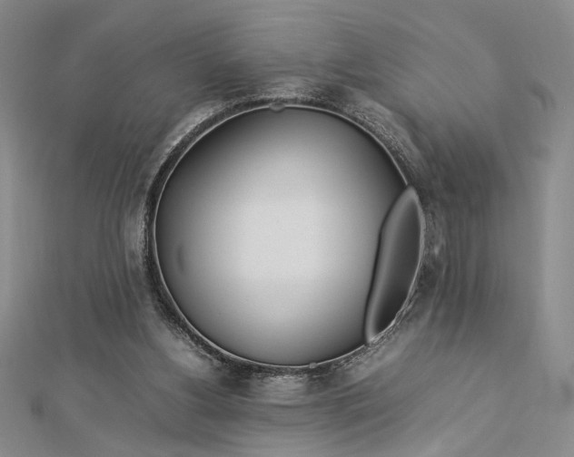 X0000112790156200909041419