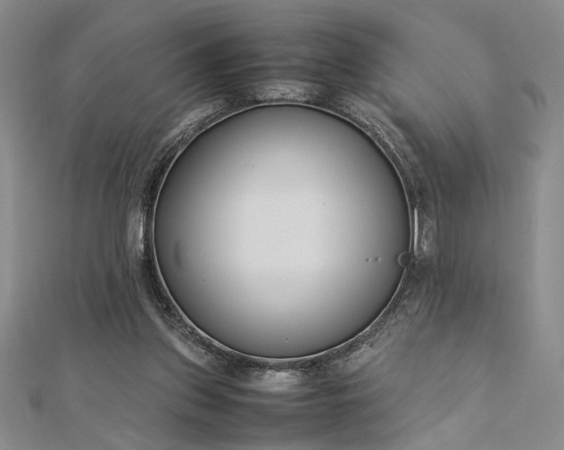 X0000112790157200909041419