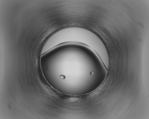 X0000112790158200909041419