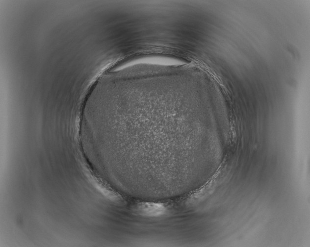 X0000112790159200909041419