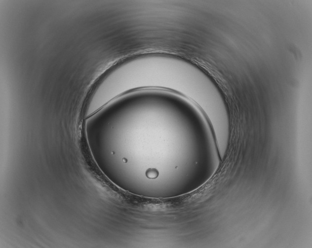 X0000112790160200909041419