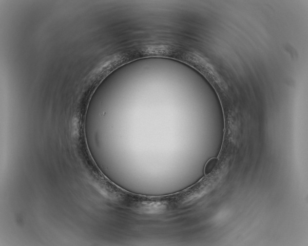 X0000112790161200909041419