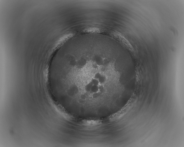 X0000112790163200909041419