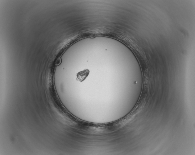 X0000112790164200909041419