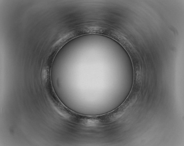 X0000112790165200909041419