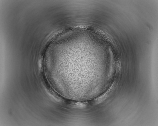 X0000112790166200909041419