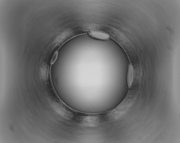 X0000112790168200909041419